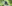 KOLLE KOLLE SHOOT 20 4635